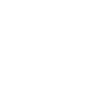 borrow_icon